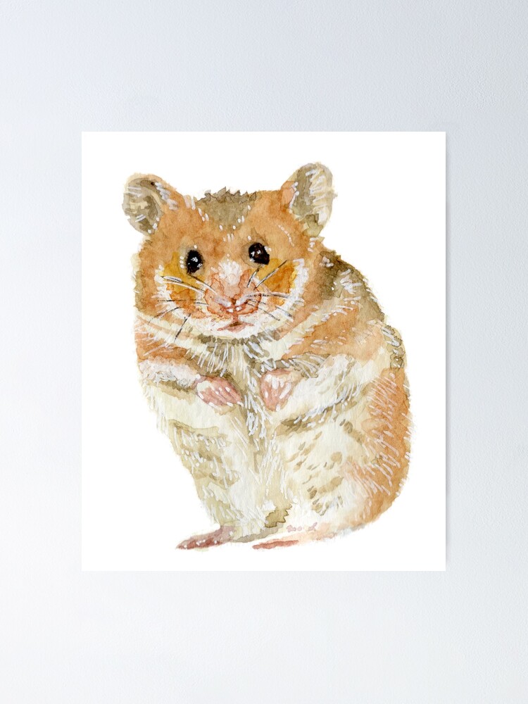 furry hamster