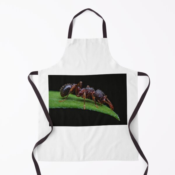 Item preview, Red Ant - Myrmica Sabuleti designed and sold by AronsTinySafari.