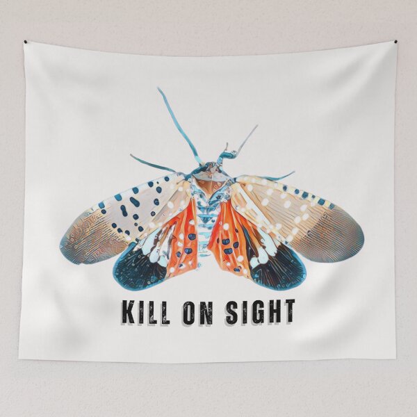 Item preview, Spotted Lanternfly Kill On Sight Saying designed and sold by Thomas Dossman.
