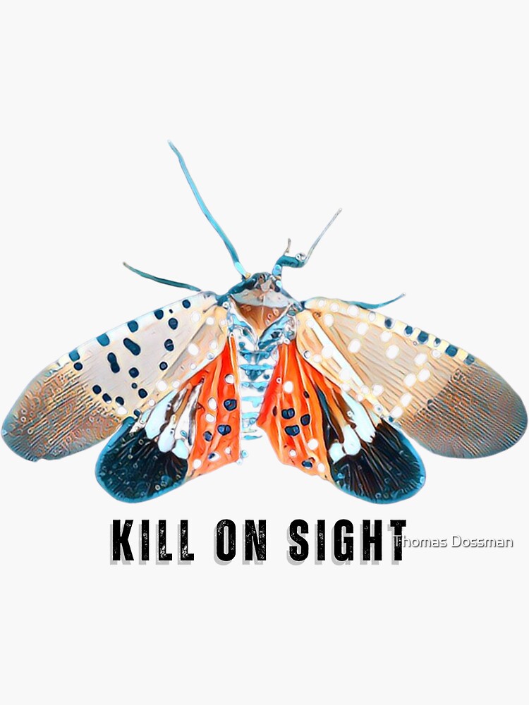 spotted lantern fly kill