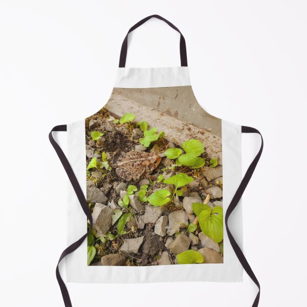Item preview, Mr. Fritz designed and sold by Ivy-Bindig.