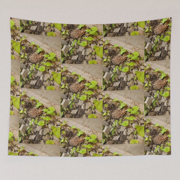 Item preview, Mr. Fritz  designed and sold by Ivy-Bindig.