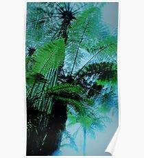 Forest Giants Poster