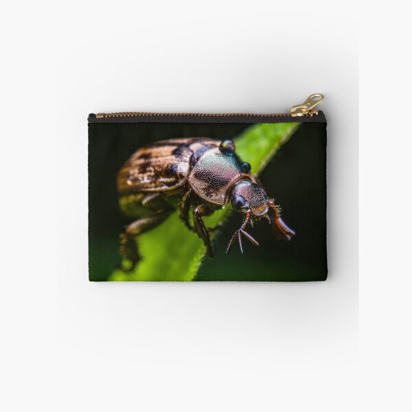 Item preview, Shining Leaf Chafer Beetle - Anomala Binotata designed and sold by AronsTinySafari.