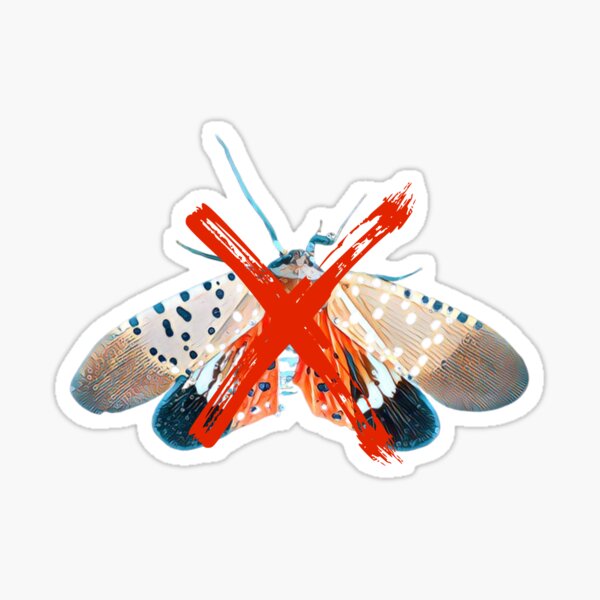 Item preview, Spotted Lanternfly Crossed Out designed and sold by Thomas Dossman.