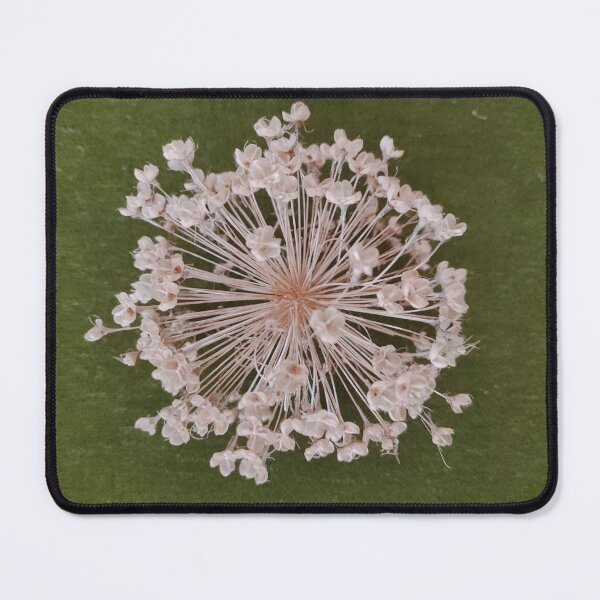Item preview, Garlic designed and sold by JJ Sokol.
