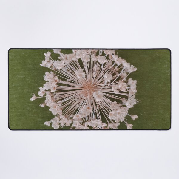 Item preview, Garlic designed and sold by JJ Sokol.