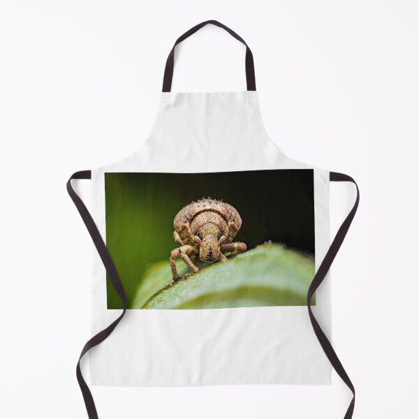 Item preview, Weevil - Snout Beetle - Curculionidae designed and sold by AronsTinySafari.