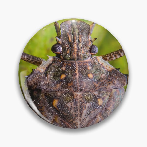 Item preview, Brown Marmorated Stink Bug - Halyomorpha Halys designed and sold by AronsTinySafari.