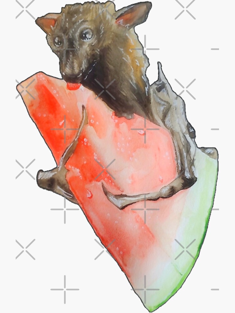 "Cute Fruit Bat Eating Watermelon" Sticker for Sale by Neyon Redbubble