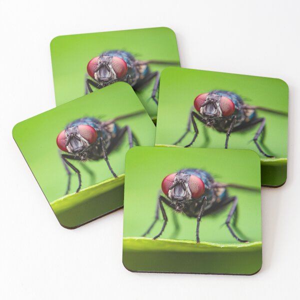 Item preview, Blue Bottle Fly - Calliphora Vomitoria designed and sold by AronsTinySafari.