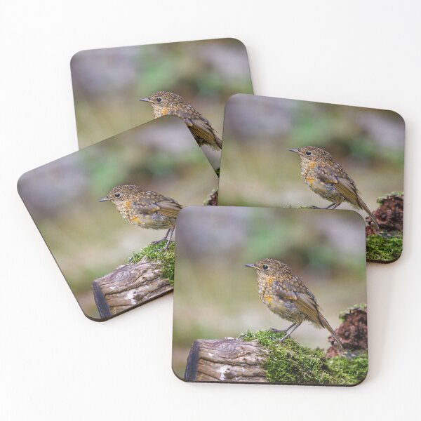 Item preview, Juvenile Robin designed and sold by Graham Prentice.
