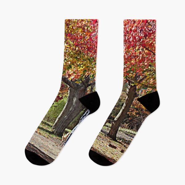Item preview, Man Walking Dog in Autumn Park designed and sold by Susan Savad.