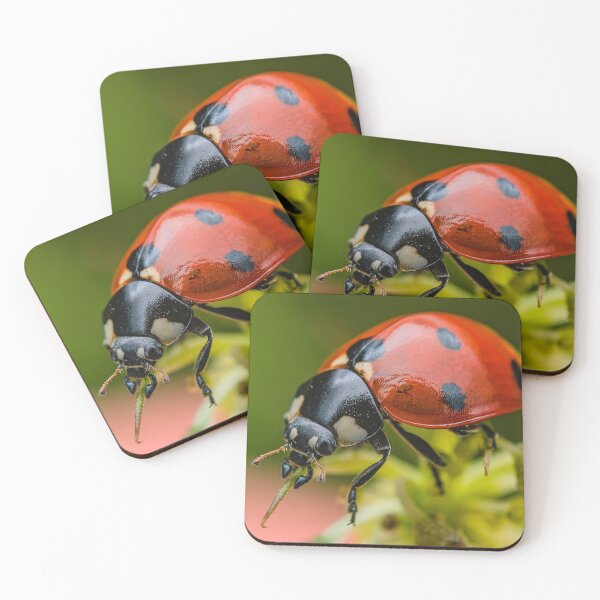 Item preview, Beautiful Red Lady Bug - Coccinellidae designed and sold by AronsTinySafari.