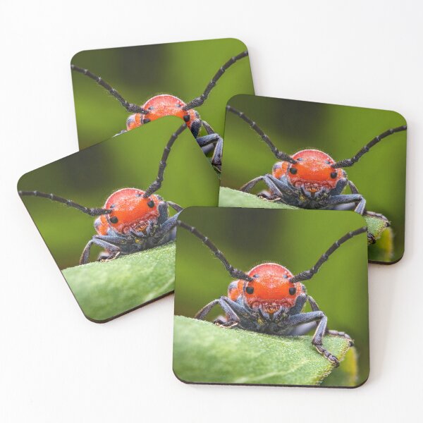Item preview, Red Milkweed Longhorn Beetle - Tetraopes Tetrophthalmus designed and sold by AronsTinySafari.