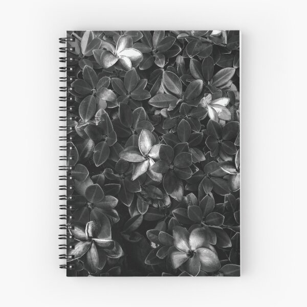 Item preview, Botanical Beauty Art Photography Black and White designed and sold by David Thibodeaux.