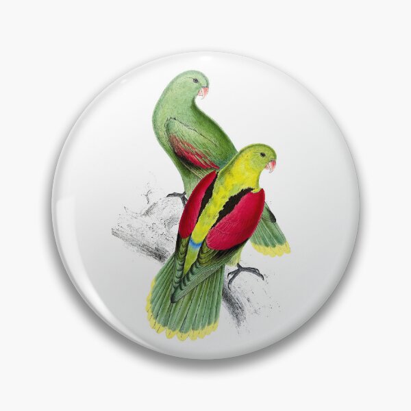 Item preview, Edward Lear - Parrots designed and sold by El-kournafi.