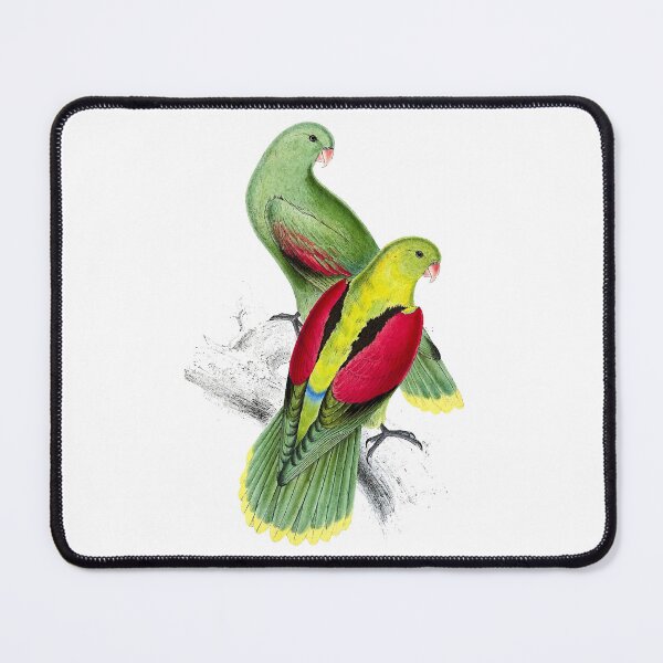 Item preview, Edward Lear - Parrots designed and sold by El-kournafi.