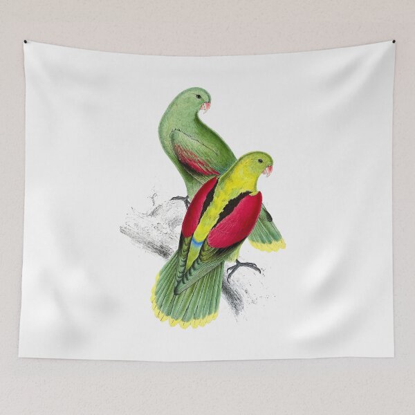 Item preview, Edward Lear - Parrots designed and sold by El-kournafi.
