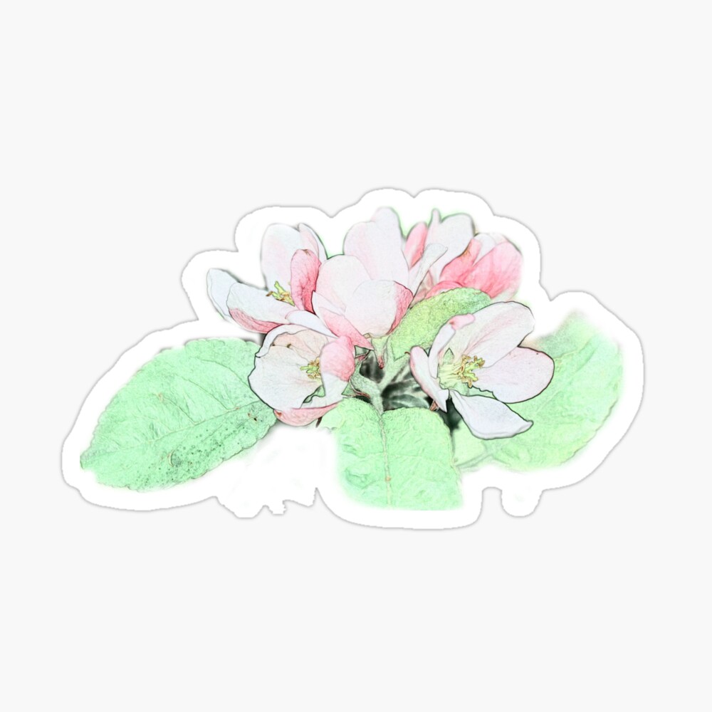 Doodle sketch flower with color fill. Simple design suitable for making  greeting cards. Vector illustration Stock Vector Image & Art - Alamy