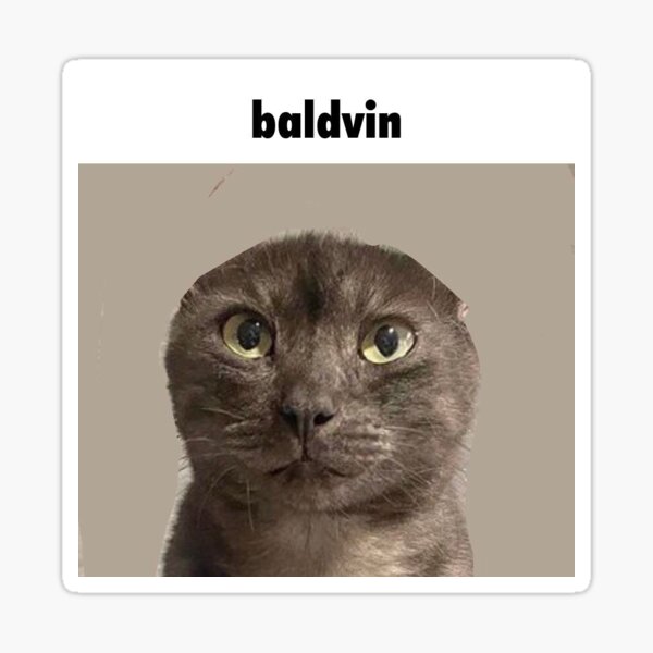 Artikel-Vorschau von Baldvin, designt und verkauft von MeevinOnline.