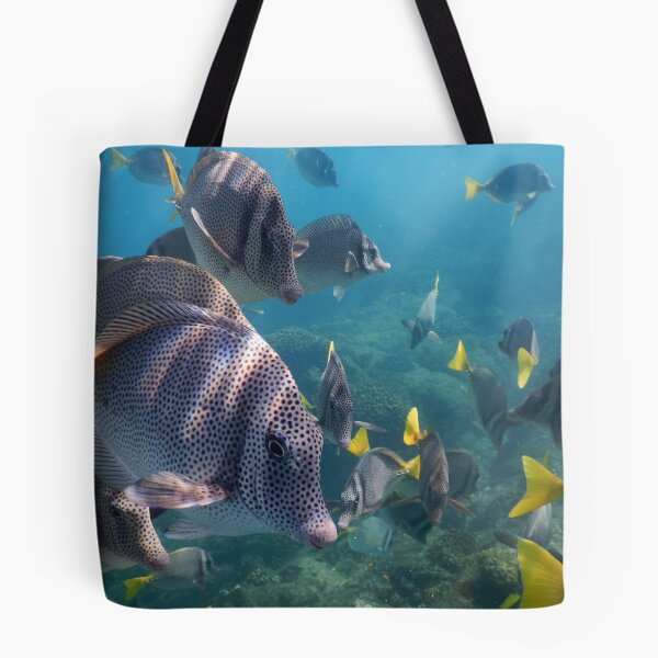 Item preview, Reef Fish in Cabo San Lucas Mexico designed and sold by Roupen BAKER.
