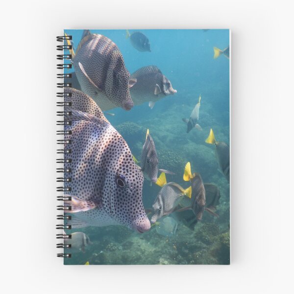 Item preview, Reef Fish in Cabo San Lucas Mexico designed and sold by Roupen BAKER.
