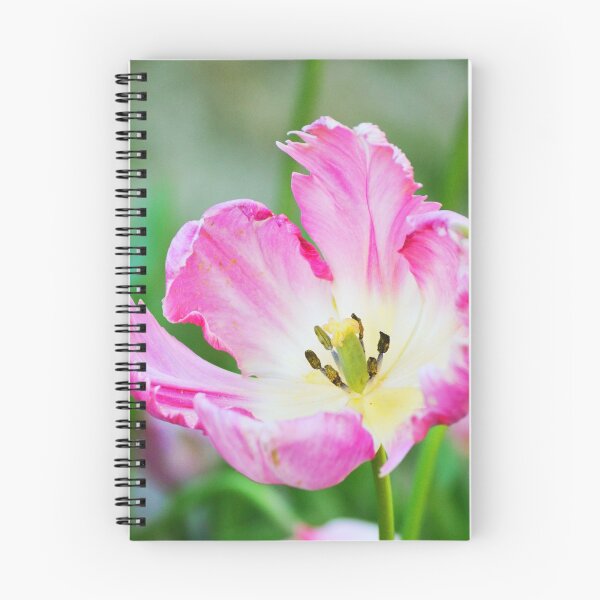 Item preview, Blossoming Tulip designed and sold by Adrienne Michaud.