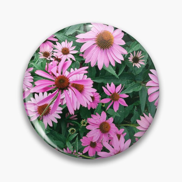 Item preview, Echinacea  designed and sold by Ivy-Bindig.