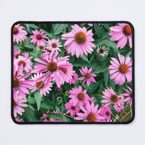 Item preview, Echinacea  designed and sold by Ivy-Bindig.