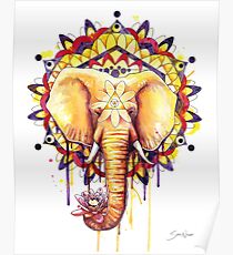 Elephant Mandala Poster