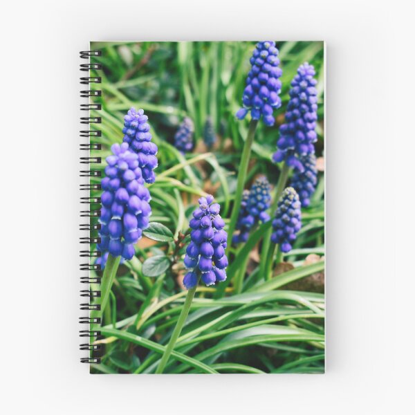 Item preview, Grape hyacinth Nature Shoot designed and sold by Ryan Ochoa.
