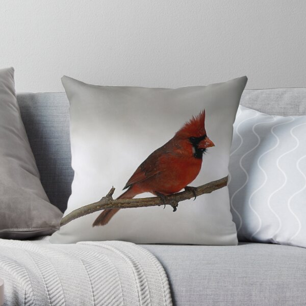 Red Cardinal~Ohio State Bird Throw Pillow