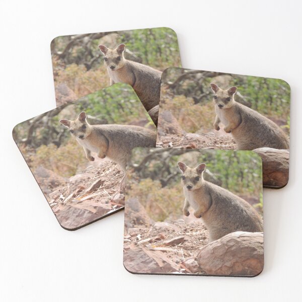 Item preview, Short-eared Rock-wallaby (Petrogale brachyotis)  designed and sold by Marilyn Harris.