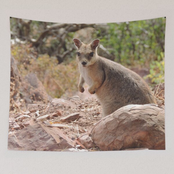 Item preview, Short-eared Rock-wallaby (Petrogale brachyotis)  designed and sold by Marilyn Harris.