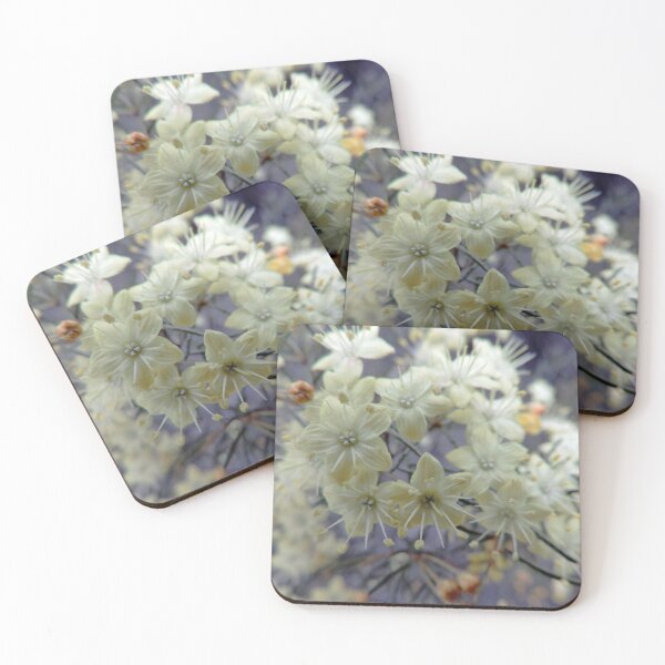 Item preview, Pretty Creamy-White Flowers with Silver Centres designed and sold by Marilyn Harris.