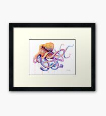 Octopus II Framed Print