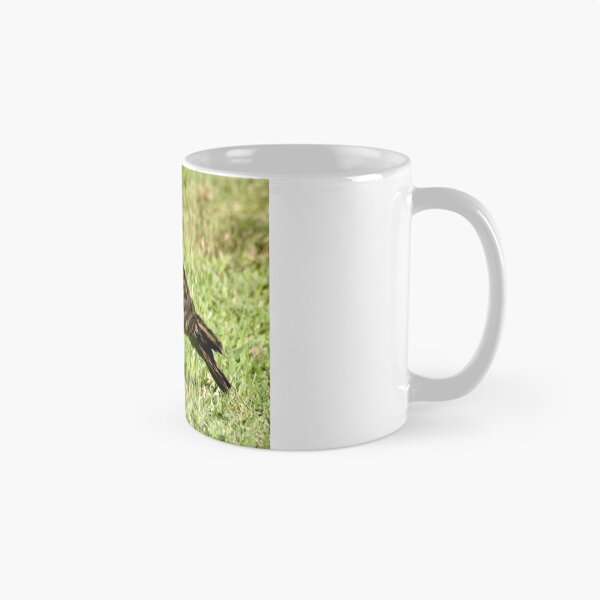 Item preview, RED-SHOULDERED HAWK  designed and sold by TomBaumker.