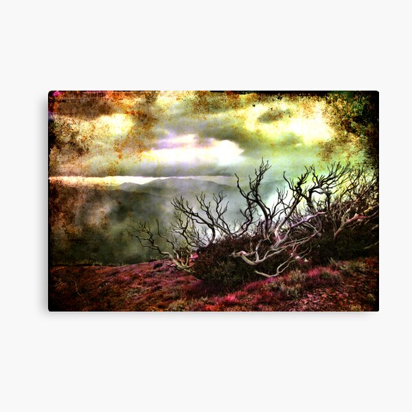 Pink grass Canvas Print