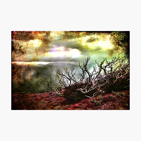 Item preview, Pink grass designed and sold by Robyn Lakeman.