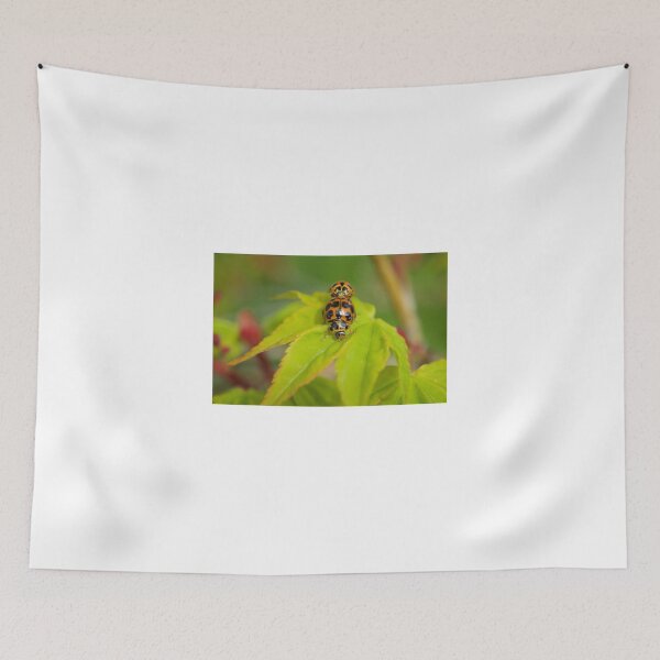 Item preview, Ladybugs designed and sold by D-GaP.