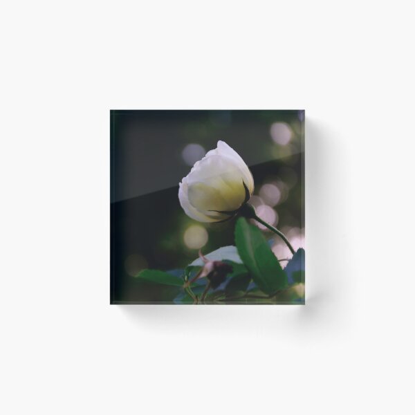 Item preview, Rose designed and sold by Mallorn.