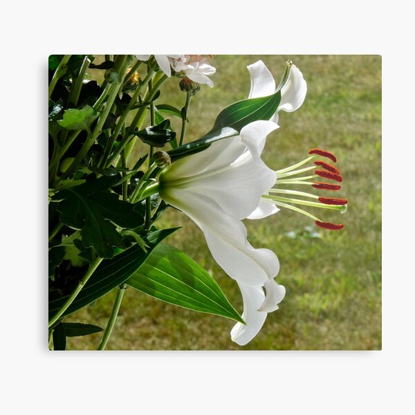 GARDEN GLORY Metal Print