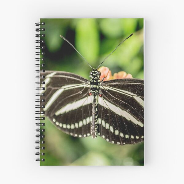 Item preview, Zebra Longwing Butterfly designed and sold by Sirenia Designs.