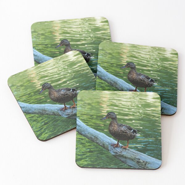 Item preview, Mallard Duck Standing Ontop Of A Log designed and sold by BackyardBirder.
