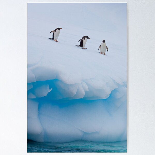 Item preview, Penguins, Ice & Water designed and sold by Simon Coates.