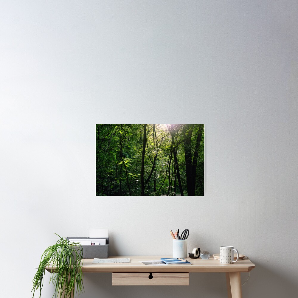 Item preview, Poster designed and sold by Mallorn.
