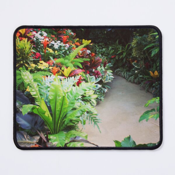 Item preview, Colorful Indoor Garden in Canada designed and sold by TomikoKH19.
