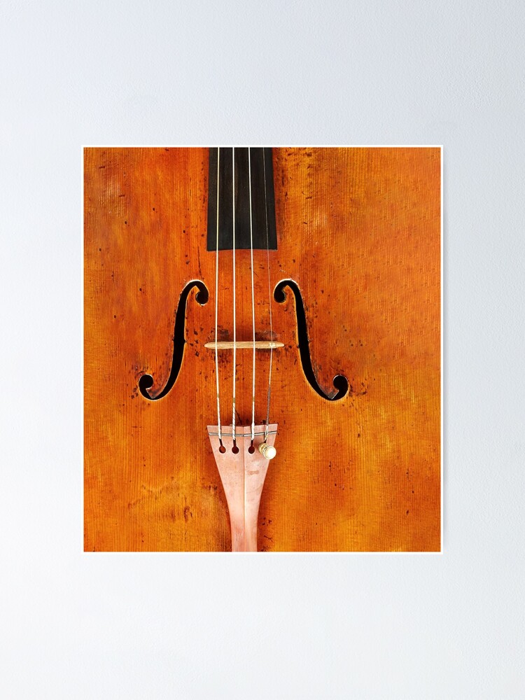 "Violin Player Nutrition Facts Love Violin Brown Classic" Poster for Sale by XaverEder Redbubble