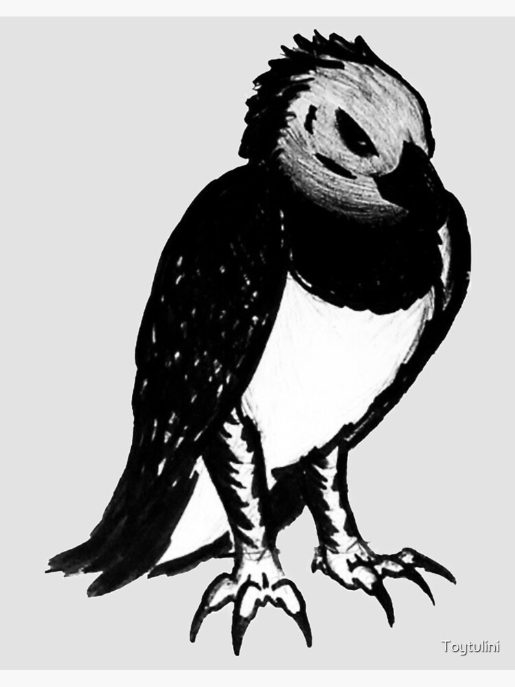 Harpy Eagle Art Board Print for Sale by Toytulini